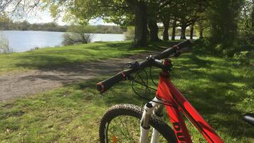 Un vélo tout-terrain est garé sur une pelouse, près d’un lac.