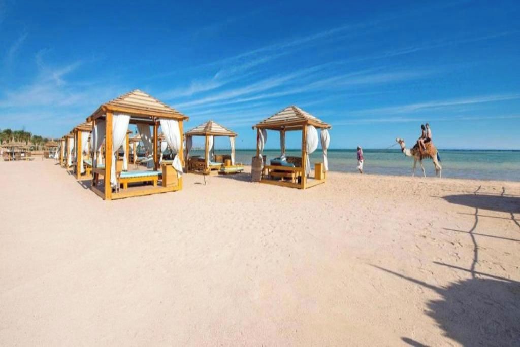 Een strand met houten prieel en een kameel in het zand.