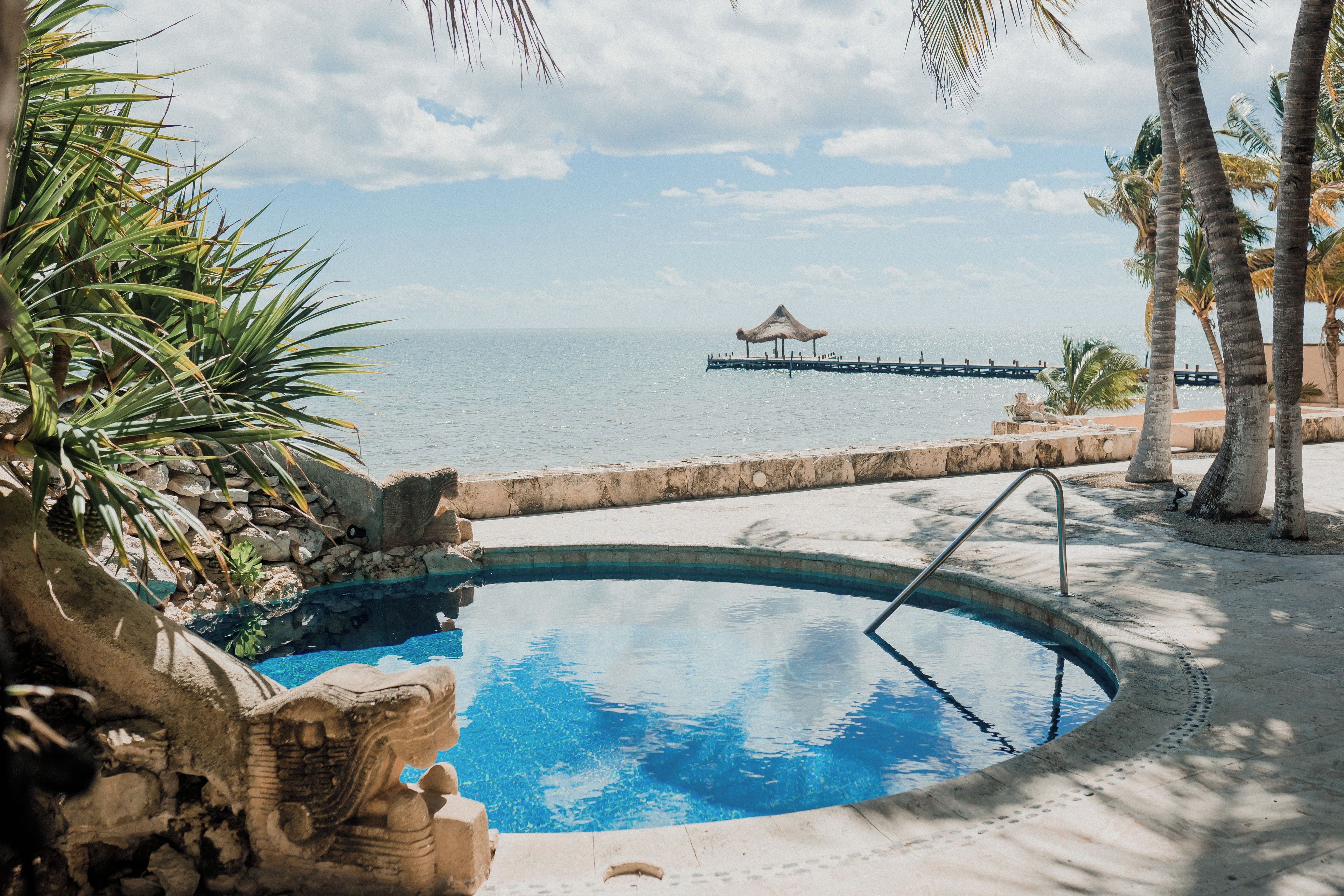 A swimming pool with a view of the sea, a thatched-roof structure, and palm trees.