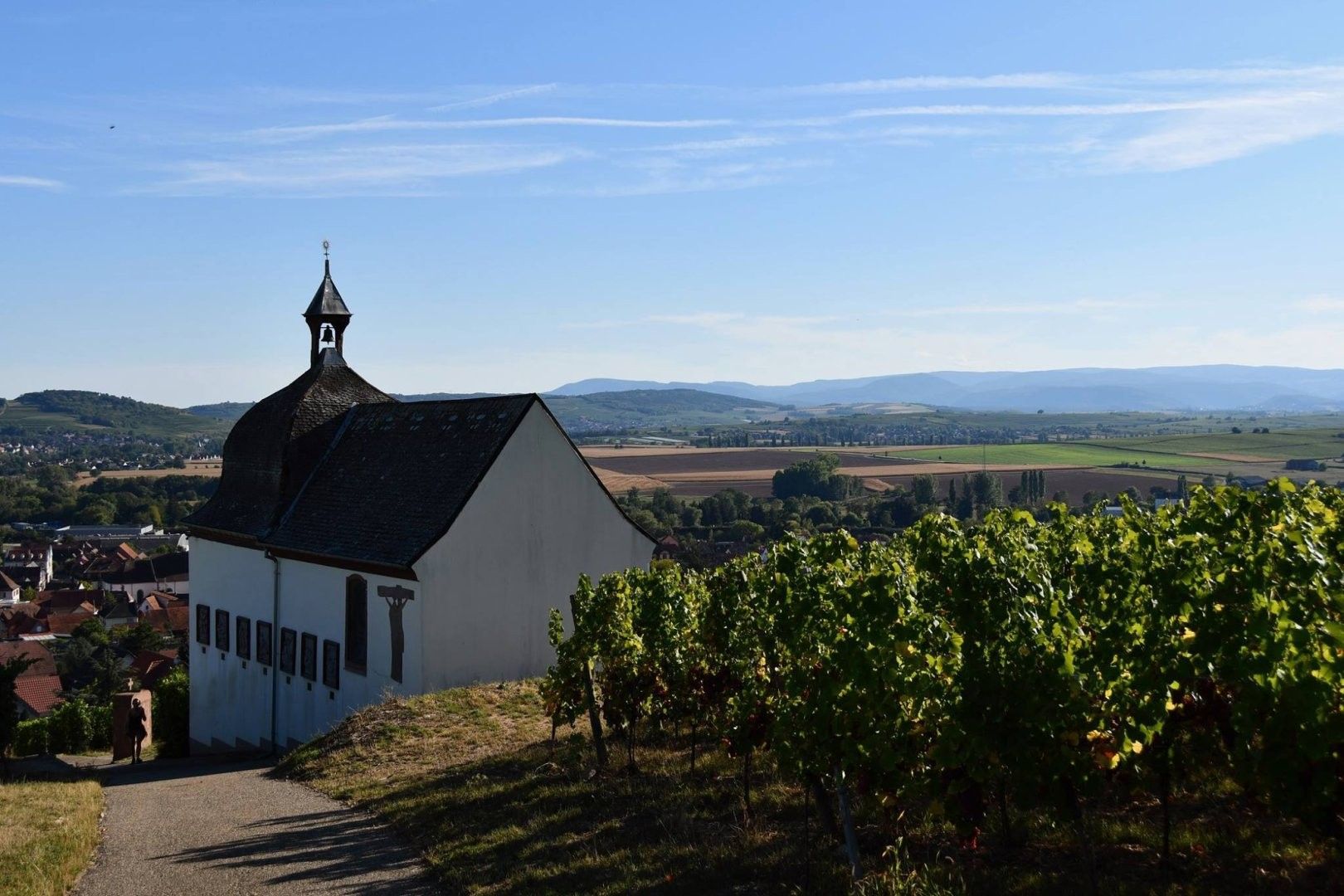 A white building with a black roof and a tower, surrounded by vineyards and a view of a town and hills.