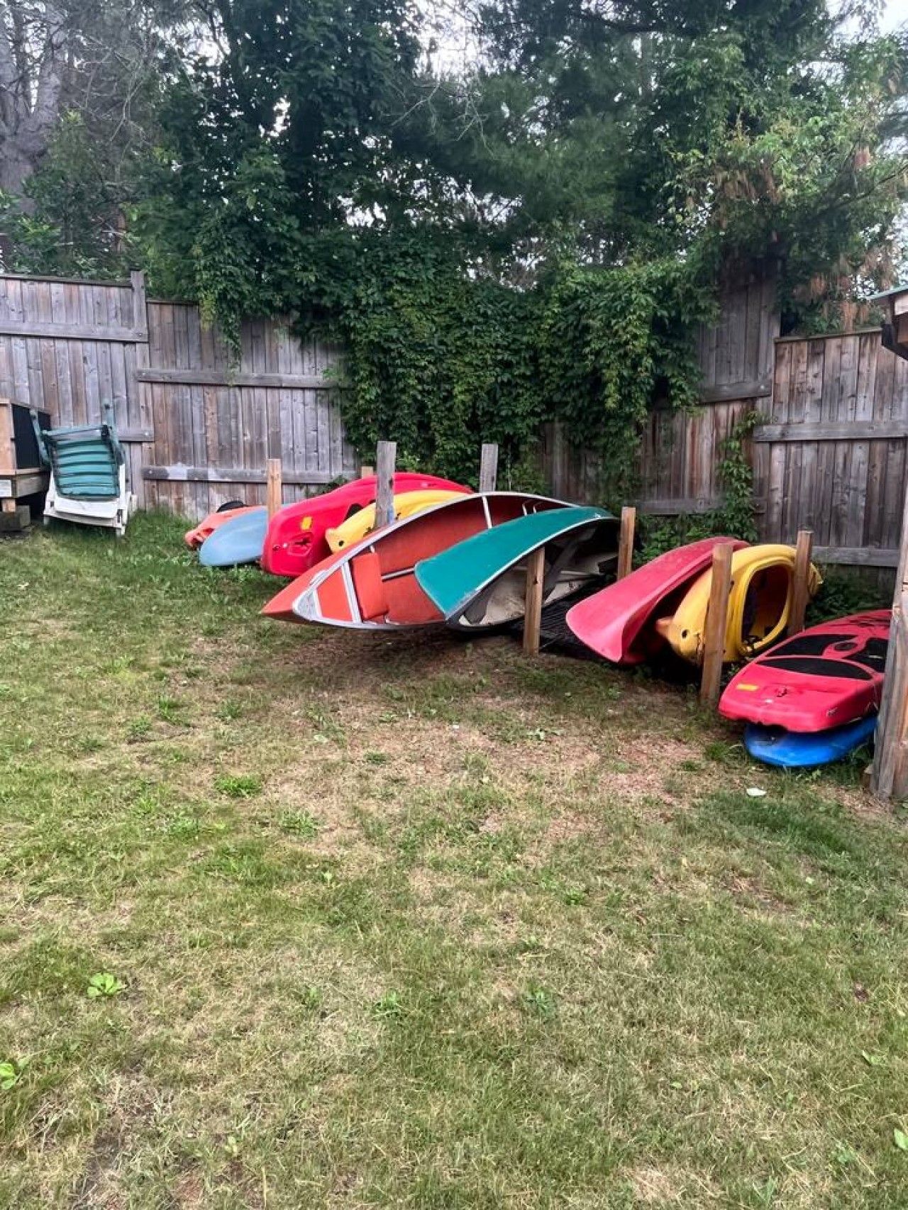 A backyard with a wooden fence, a grassy lawn, and several colorful kayaks leaning against the fence.