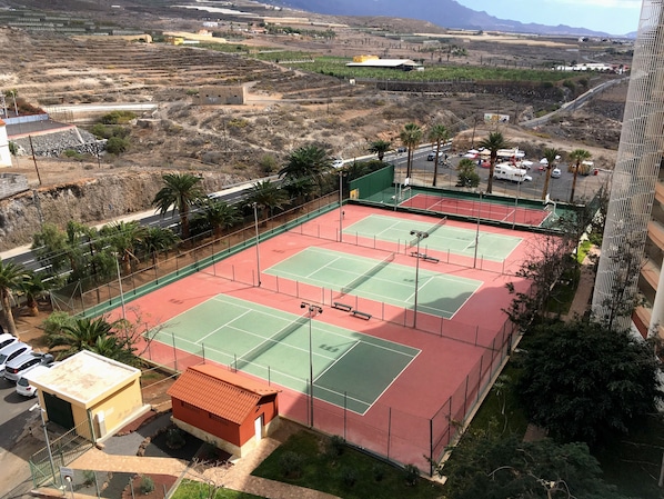 Een tennisbaan met een klein gebouw, palmbomen en een weg op de achtergrond.