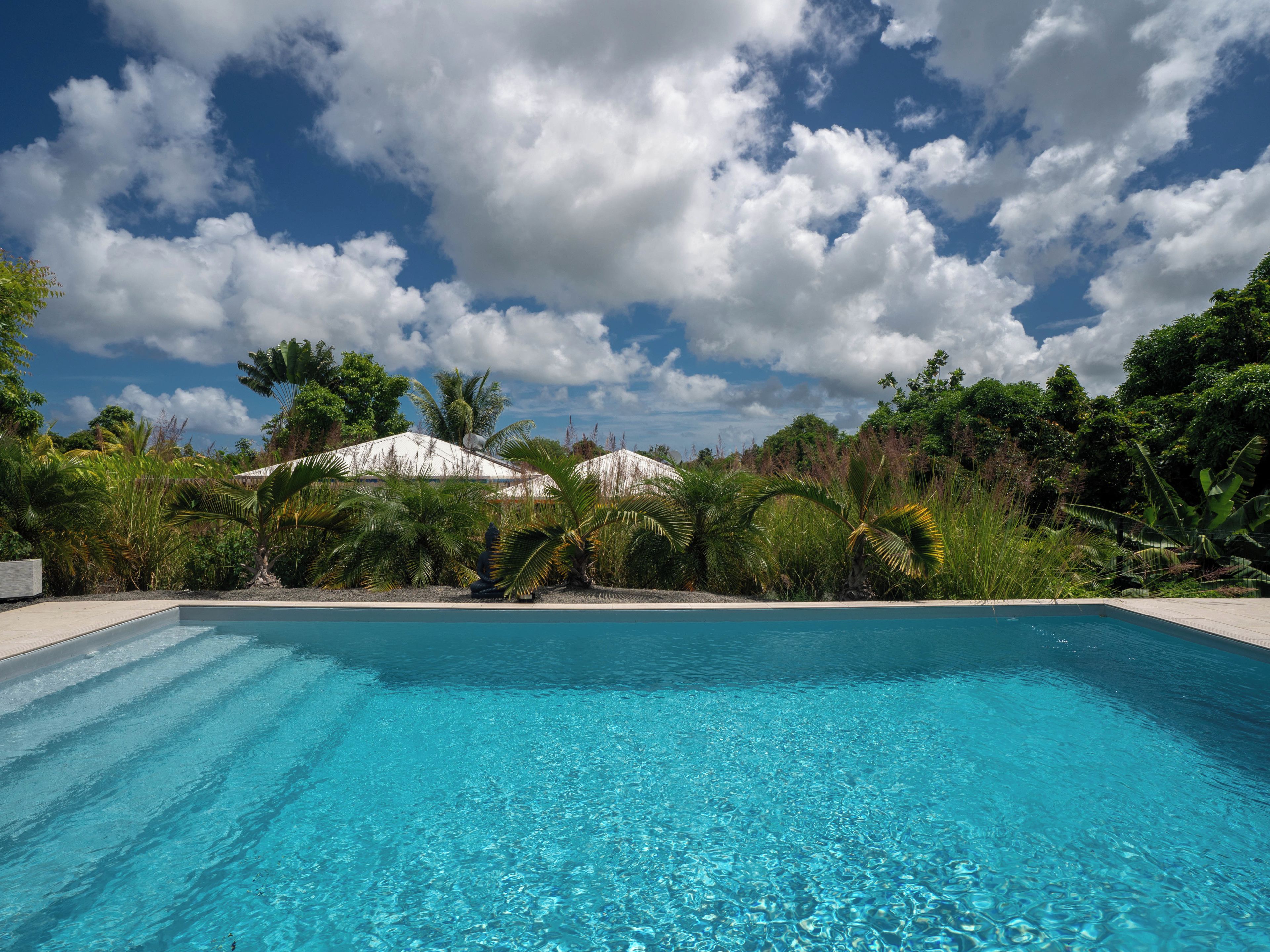 A clear blue swimming pool surrounded by lush greenery and a white building with a sloped roof.