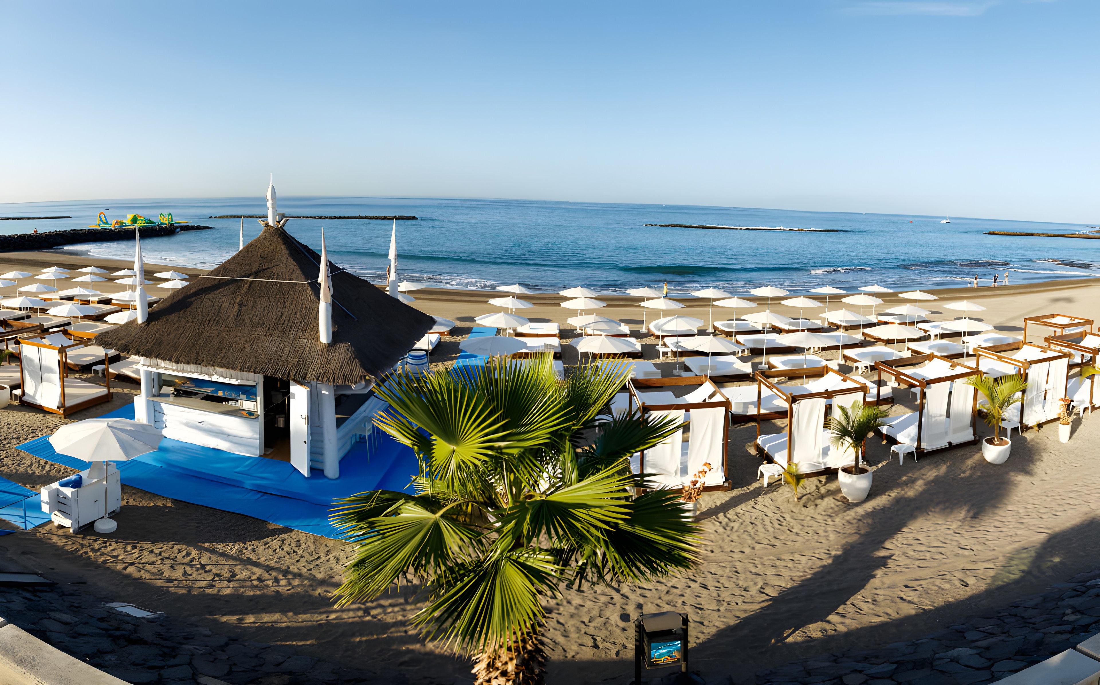 Een hotel aan het strand met meerdere ligbedden en parasols, een rieten constructie en een palmboom.