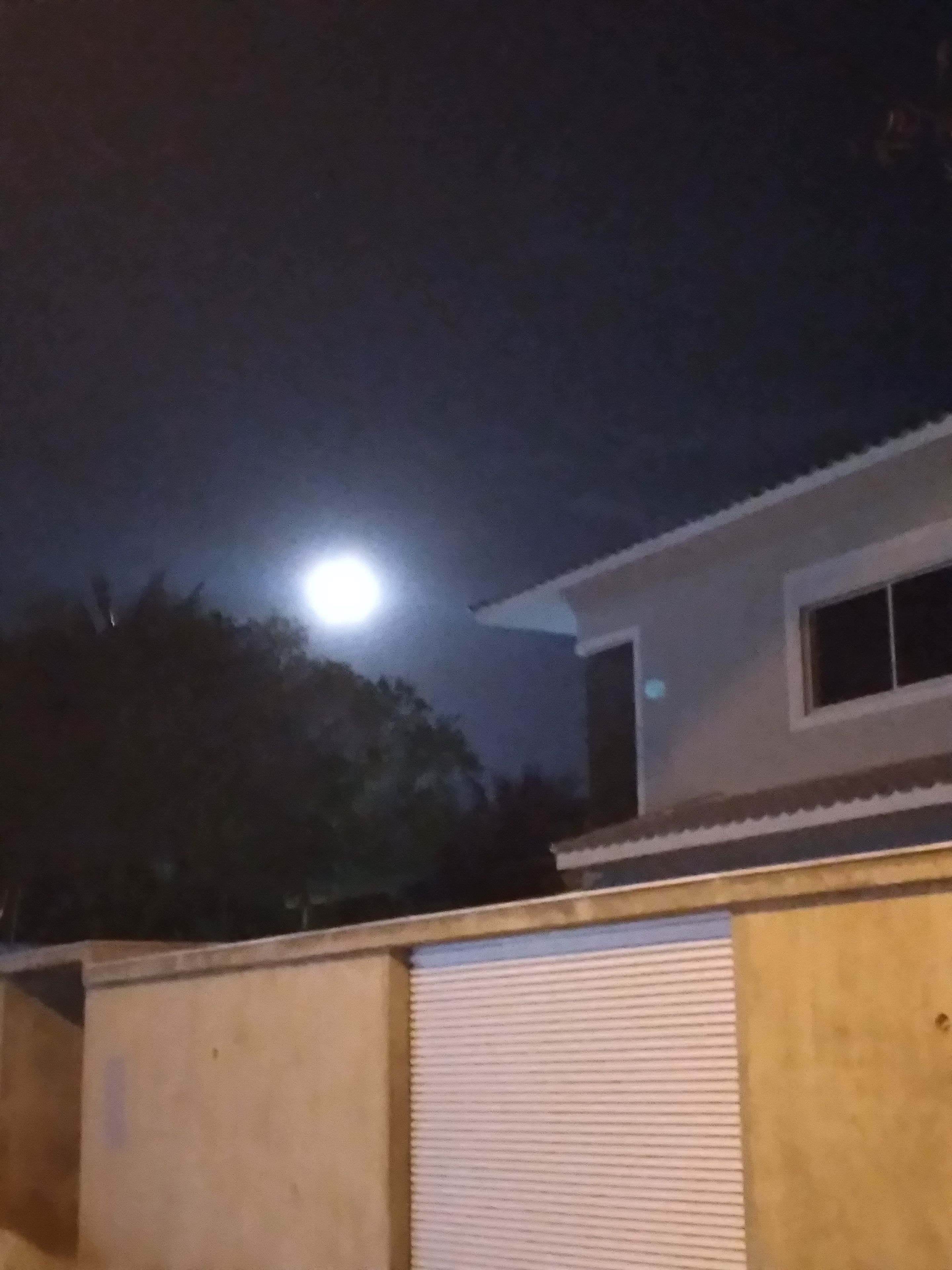 Un edificio con una persiana chiusa, una finestra ben visibile e un albero sullo sfondo.