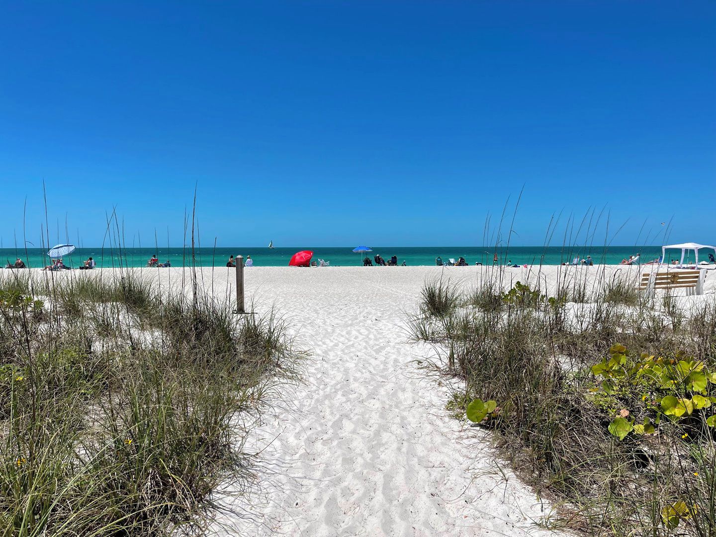 A sandy beach path leading to the ocean with sparse vegetation on either side.