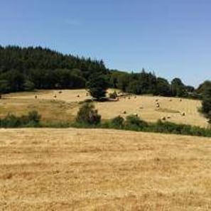 Miscellaneous - Cabin Sleeps 2 With Parking (Wicklow)