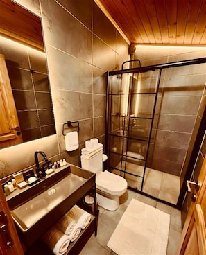 A modern bathroom with a glass shower enclosure, a vanity with a sink, and a toilet. - AYDER Diamond River (Camlihemsin)