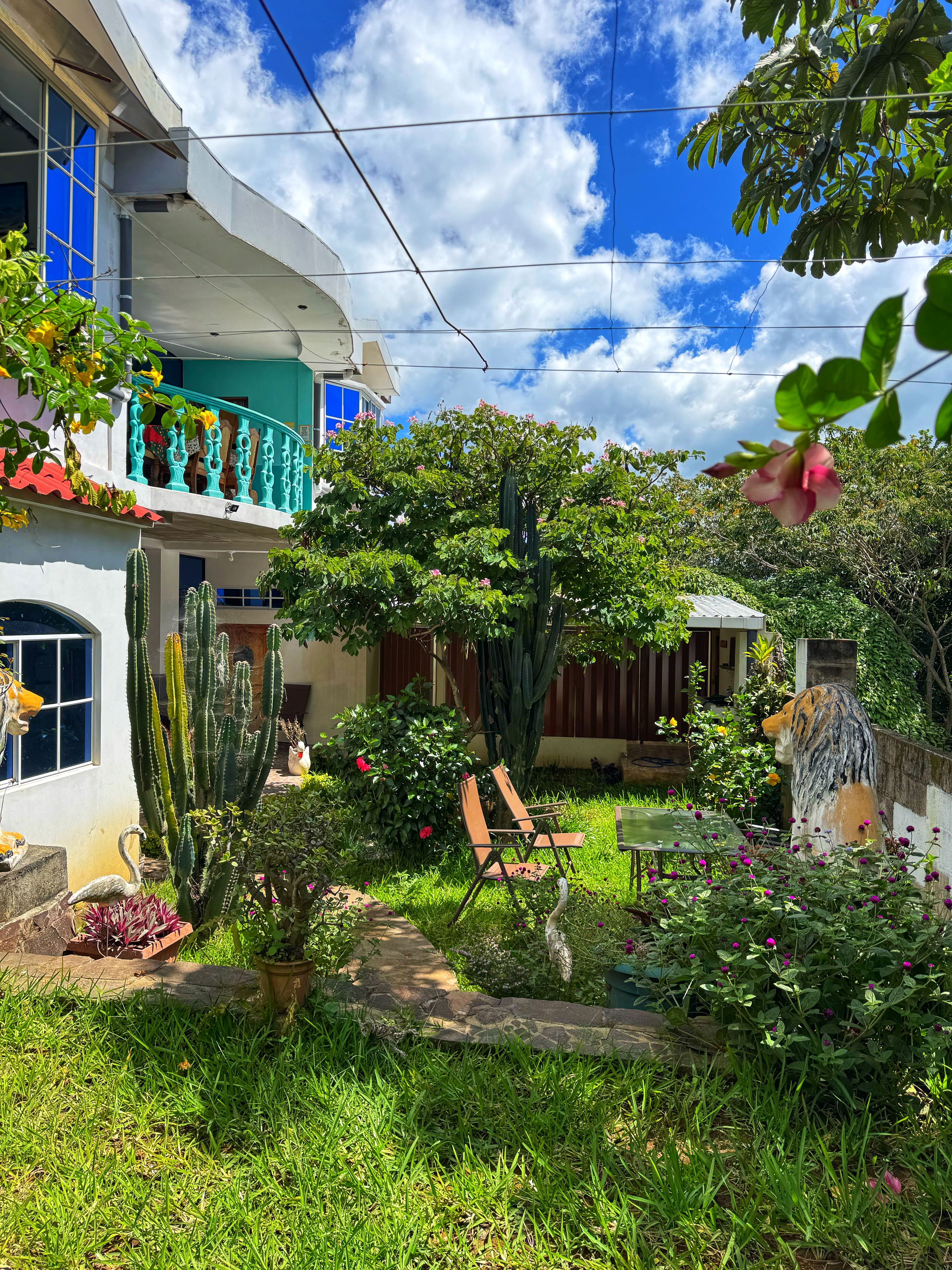 Terraza o patio