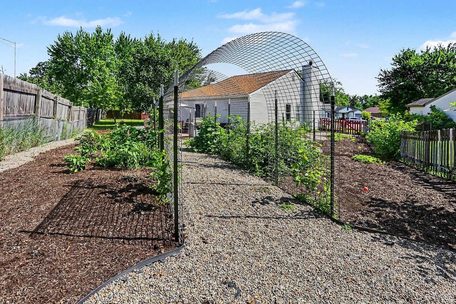 A garden with raised beds, a metal arch structure, and a house in the background.
