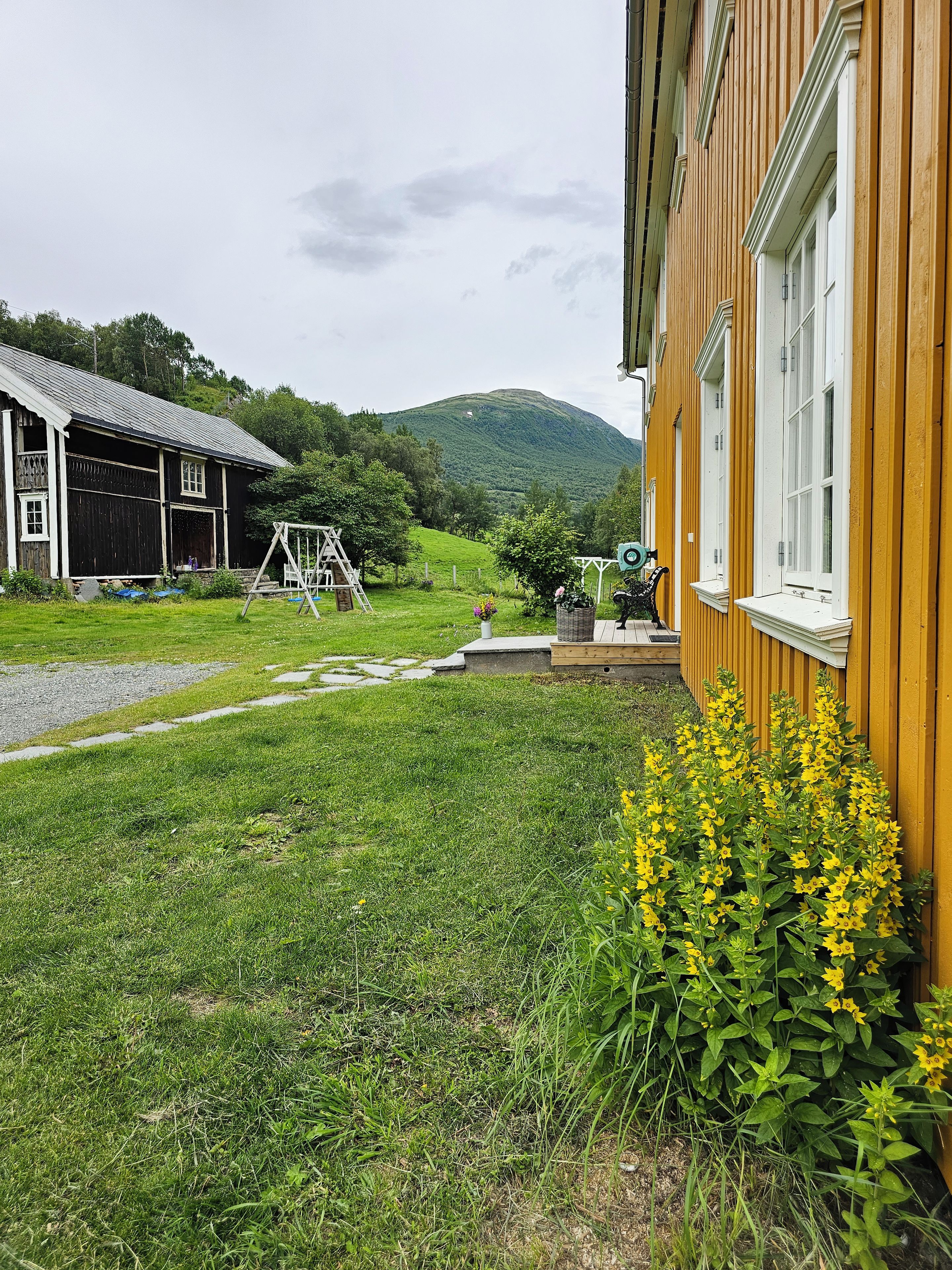 A rural property with a wooden house, a barn, and a grassy yard with yellow flowers.