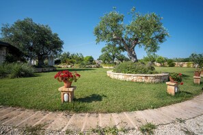 Um jardim bem cuidado com uma grande árvore, vasos de pedra e céu claro.