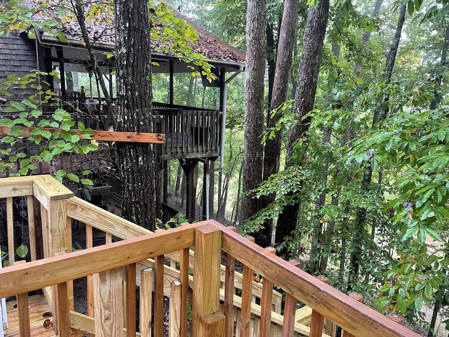 A wooden deck leading to a treehouse with a metal roof, surrounded by dense forest.