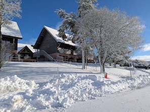 Exterior - New Listing (Besse-et-Saint-Anastaise)