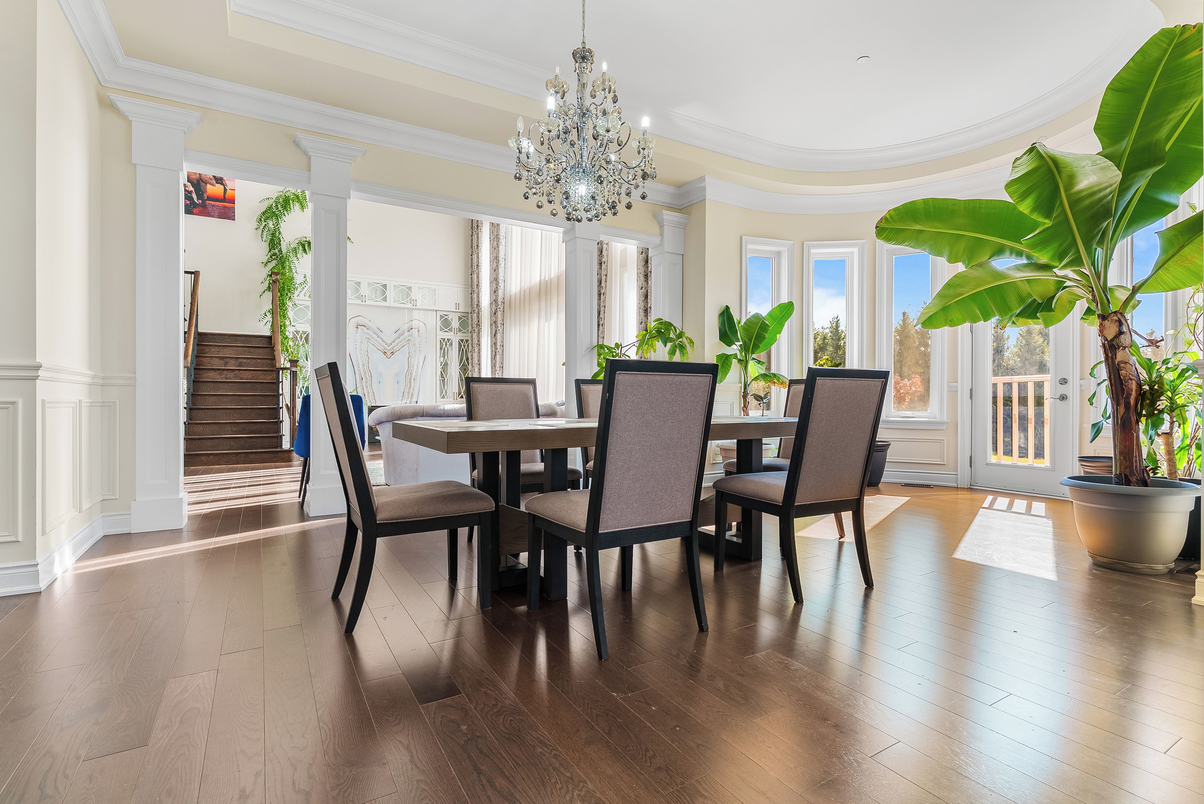 A dining area with a chandelier, wooden flooring, and a large potted plant.