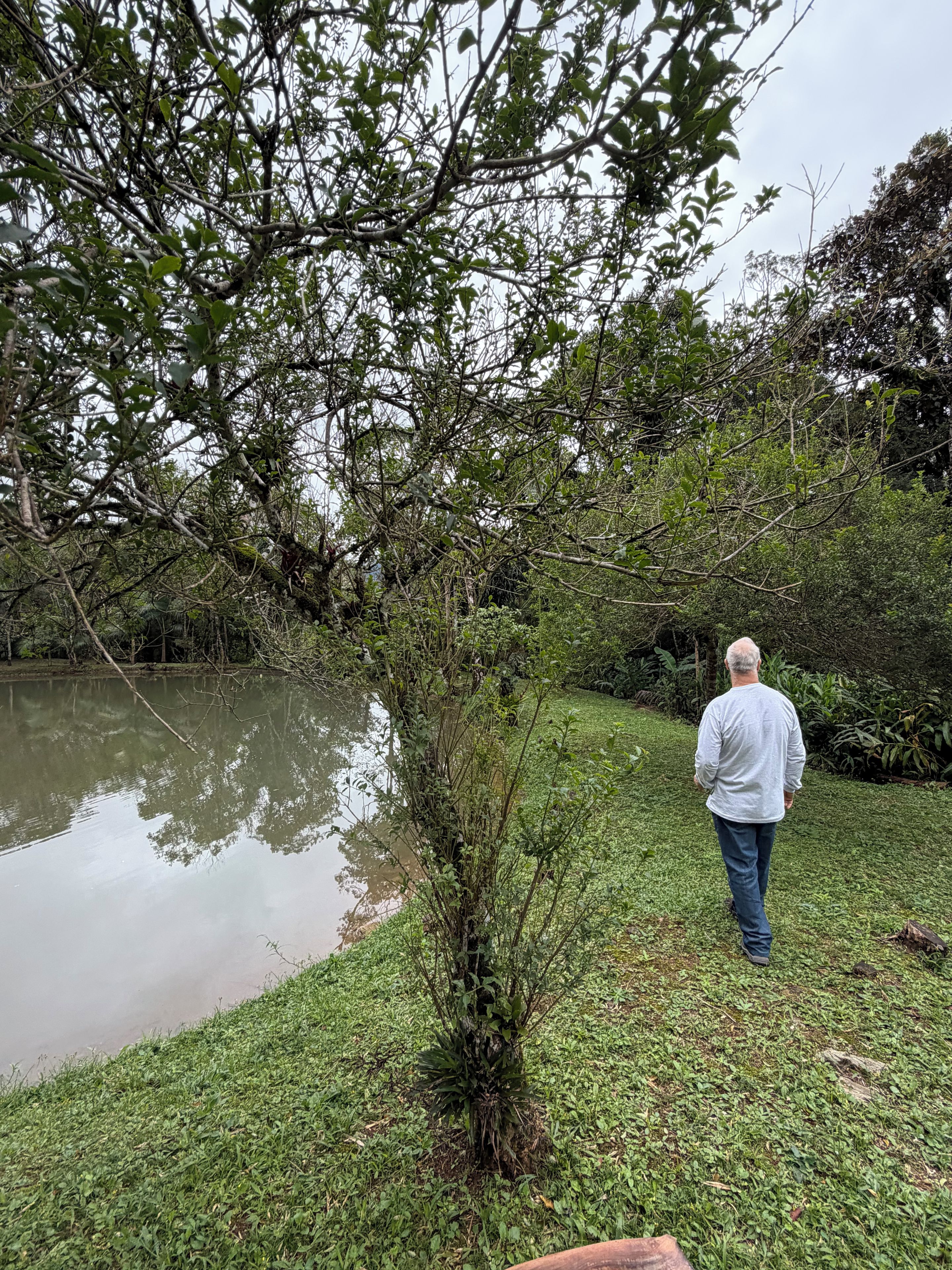 Un hombre caminando por un sendero cubierto de hierba junto a un cuerpo de agua tranquilo, rodeado de vegetación densa.