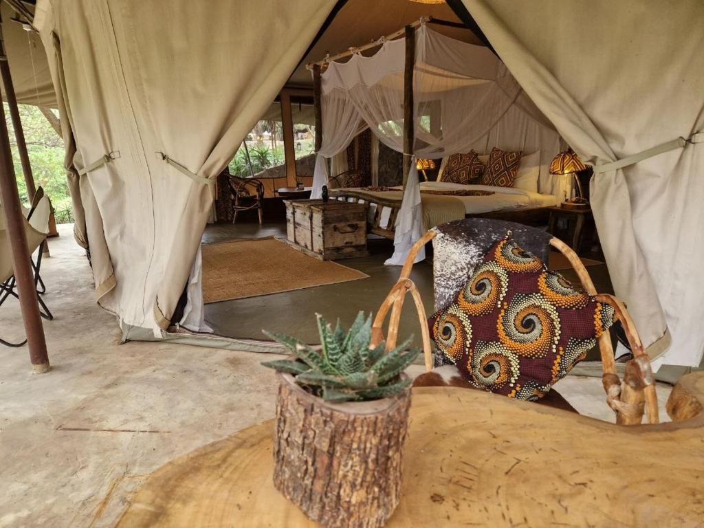 A tented accommodation with a bed, a table, and a potted plant.