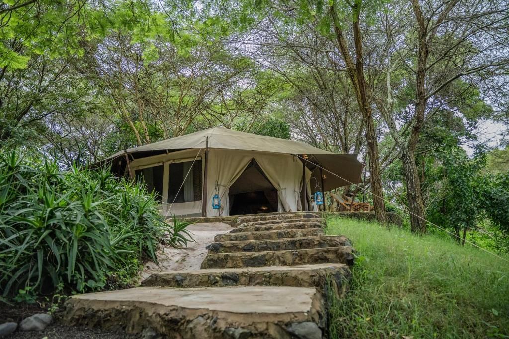 A tented accommodation with a stone staircase leading to it, surrounded by dense greenery.