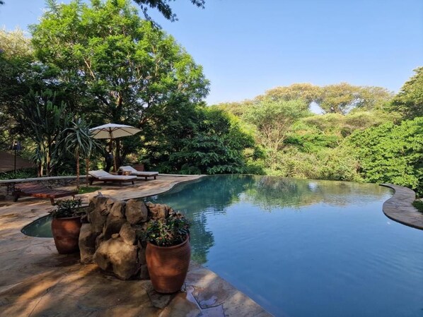 Piscina con borde de piedra, rodeada de exuberante vegetación y un área de descanso con sombrilla.