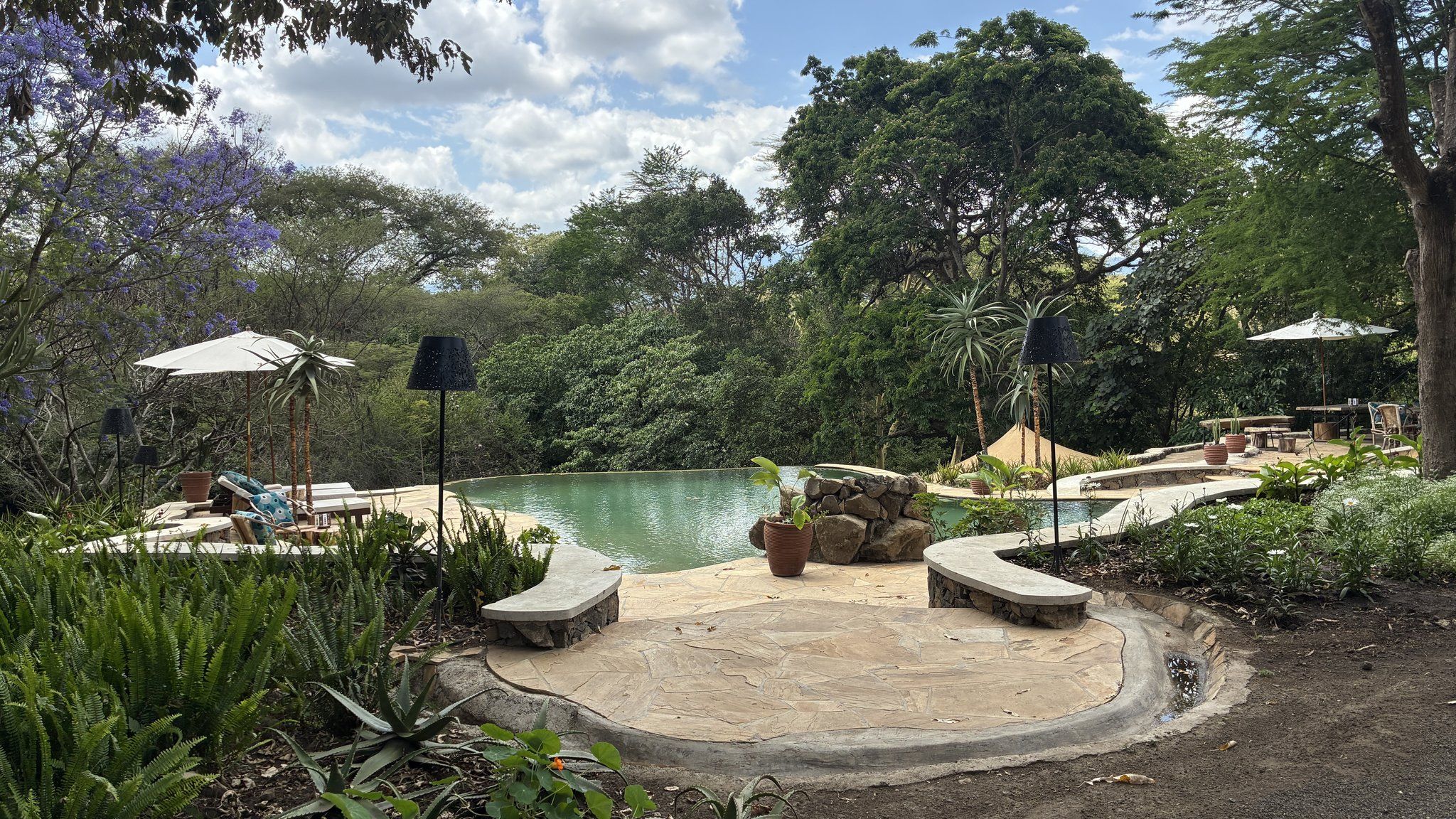 A pool area with lounge chairs and umbrellas, surrounded by lush greenery and trees.