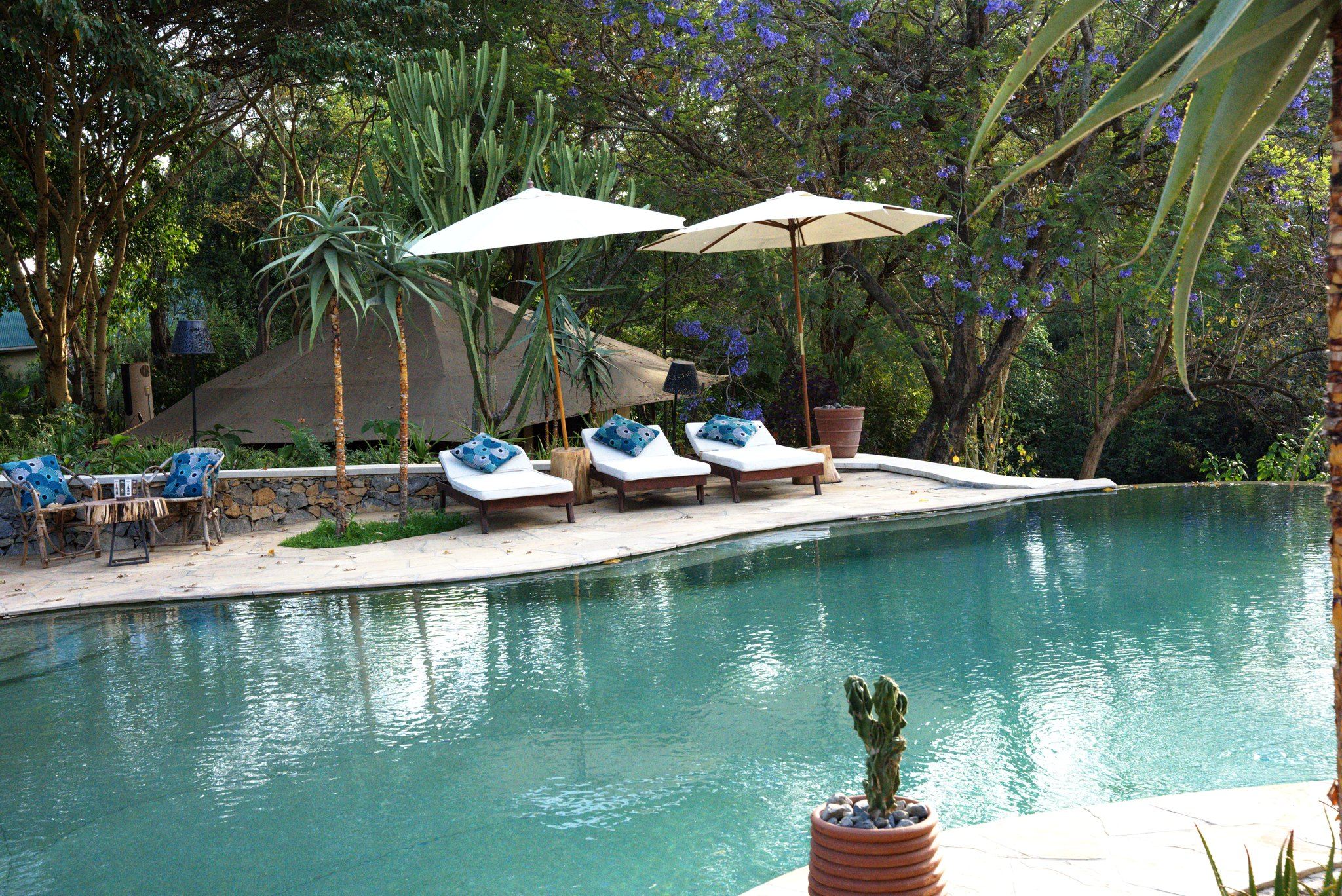 A pool area with lounge chairs and umbrellas, surrounded by greenery and trees.