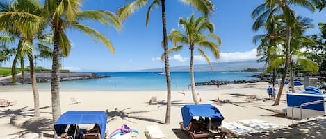 A beach with palm trees, lounge chairs, and a clear blue sky.