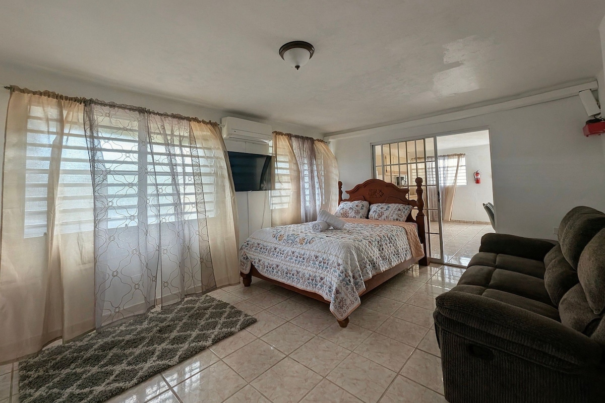 A bedroom with a bed, curtains, a sofa, and a fire extinguisher.