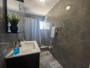 A bathroom with a large mirror, a sink, a shower, and a potted plant. - Casa Ceiba (Ceiba)