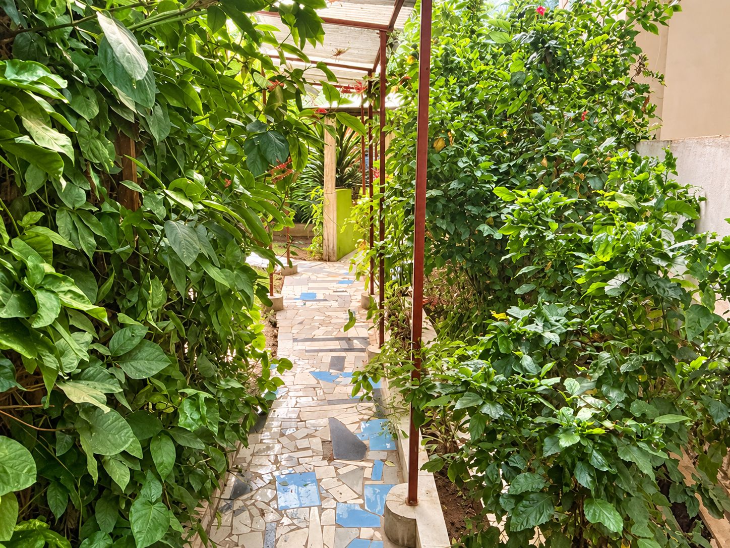 Een smal stenen pad, omzoomd door weelderige groene beplanting, dat leidt naar een houten pergola.