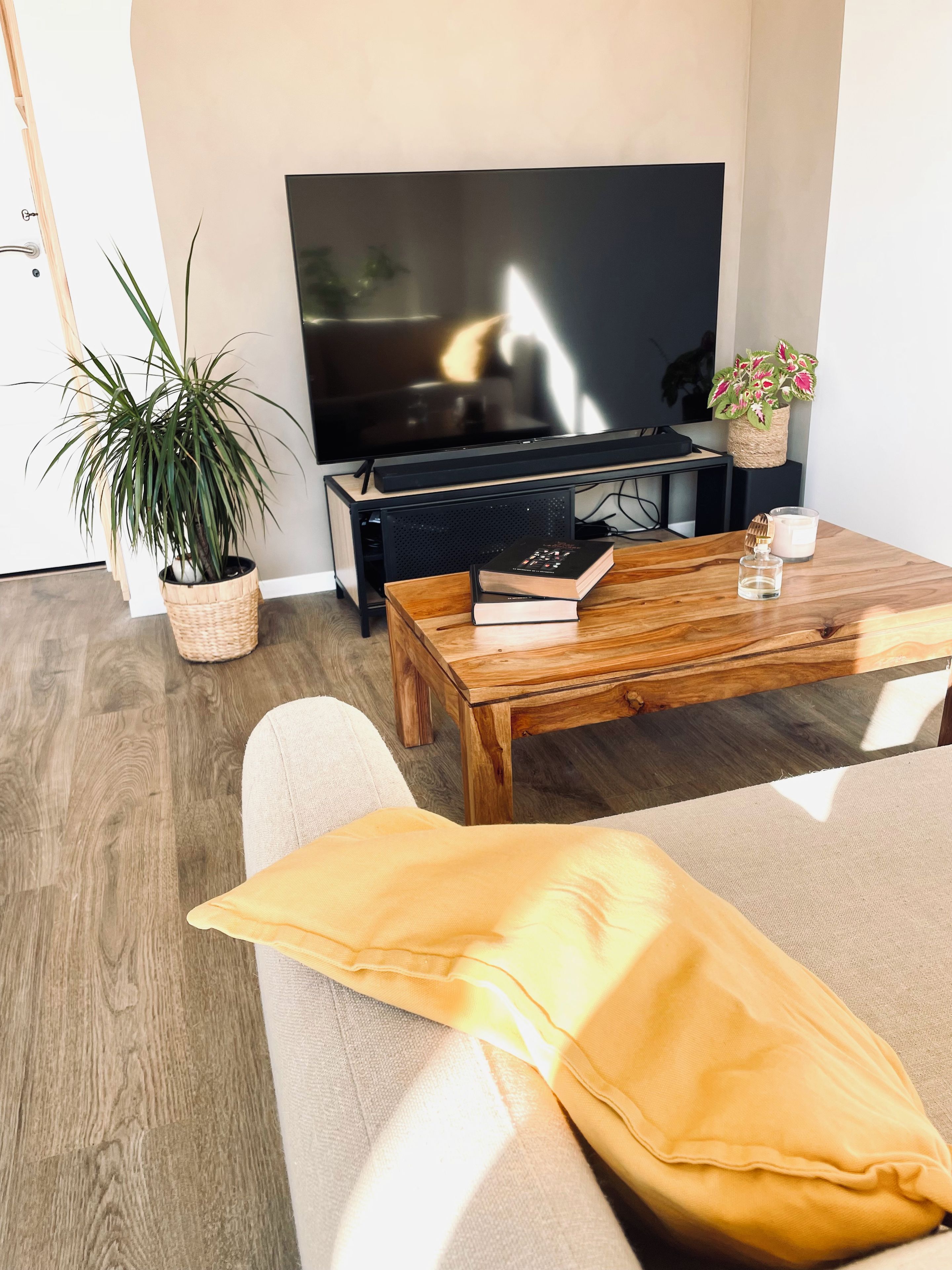 A living room with a flat-screen TV, a wooden coffee table, a sofa, a potted plant, and a candle.