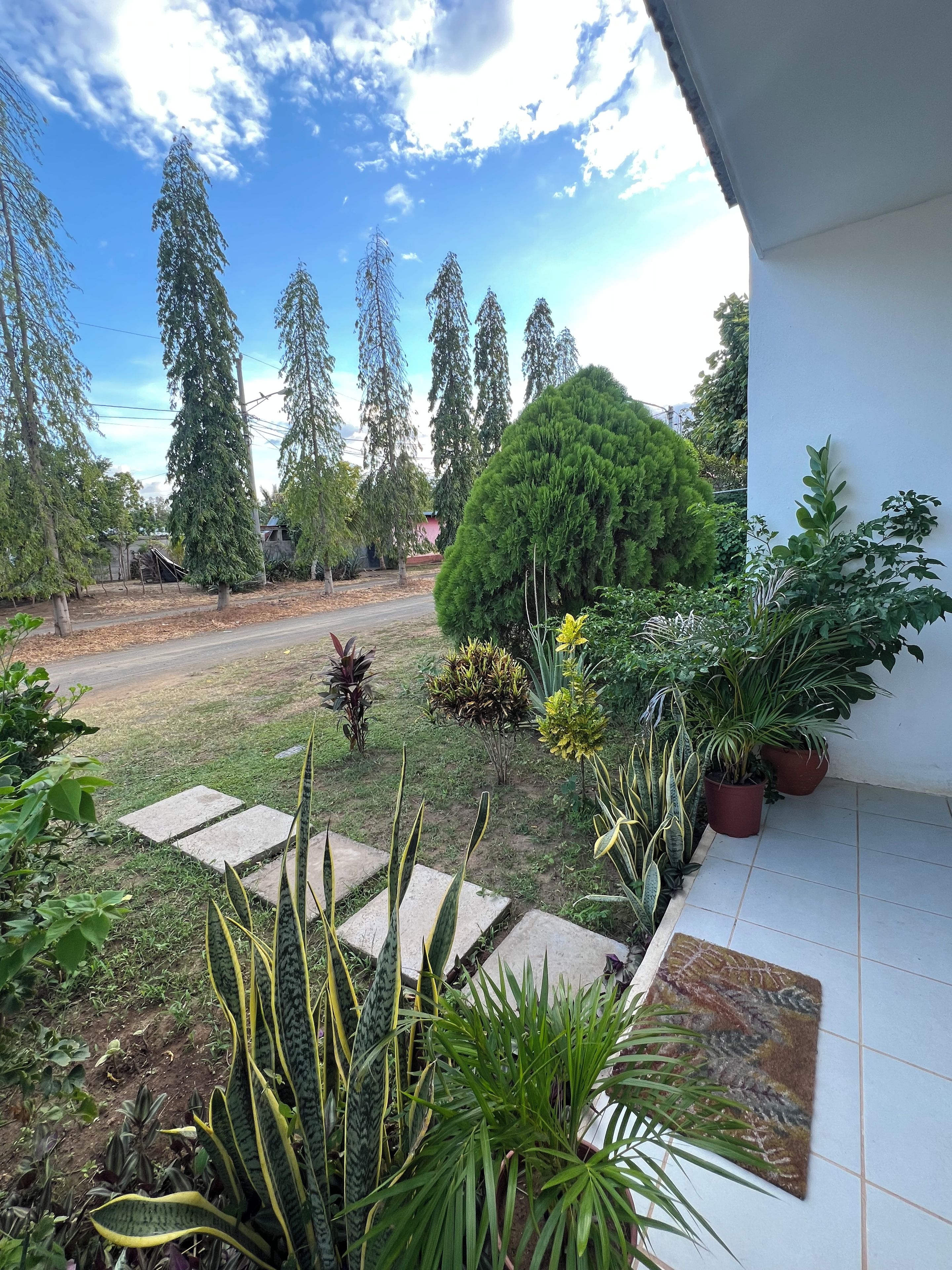 Un jardín con diversas plantas, un sendero pavimentado y vistas al cielo.