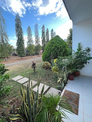 Un jardín con diversas plantas, un sendero pavimentado y vistas al cielo.