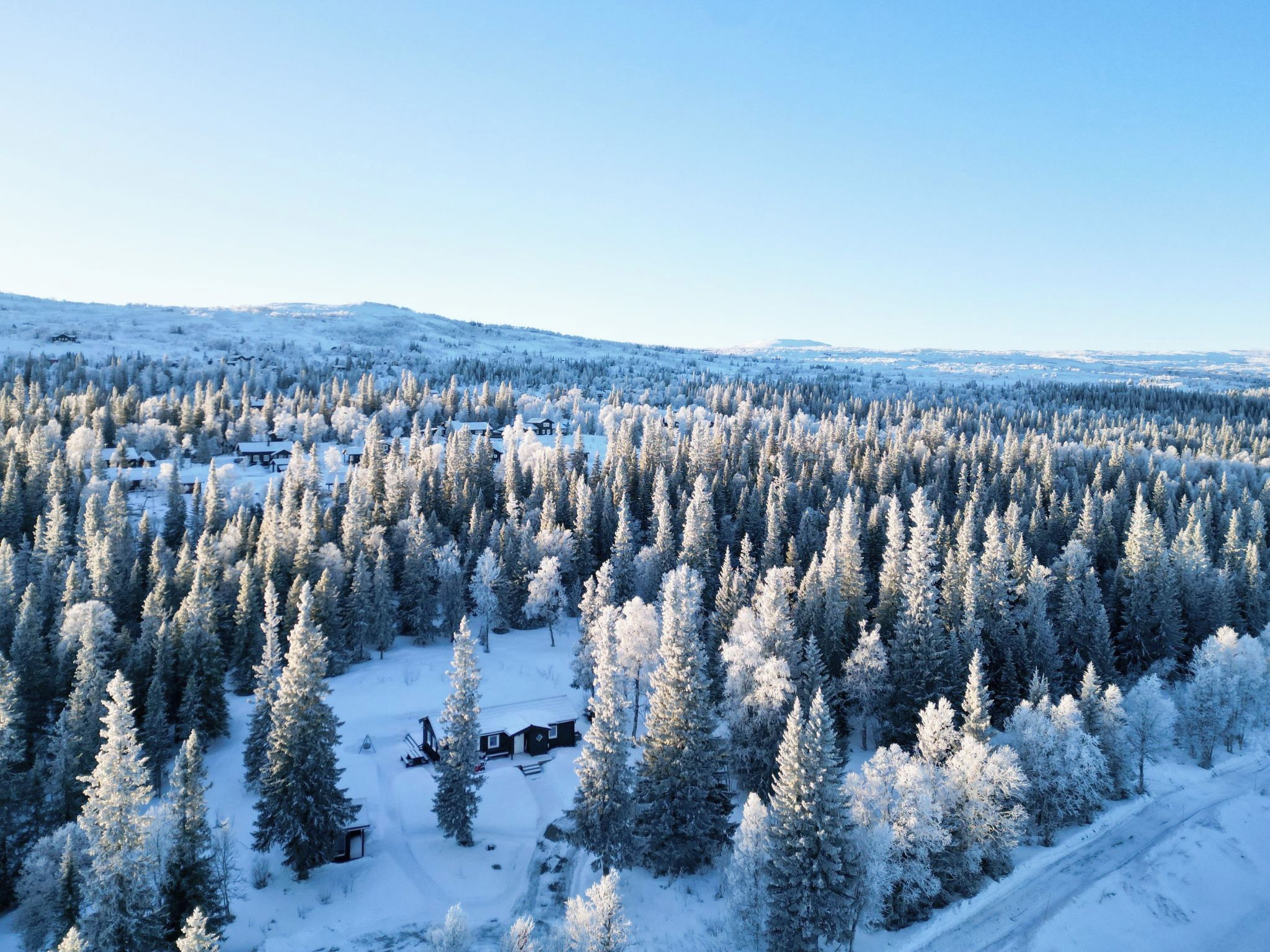 A snow-covered forest with a cabin and a clear sky.