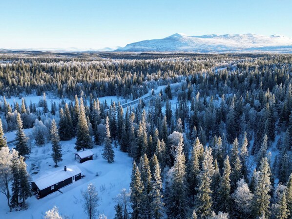 Bosque nevado con una cabaña y una vía de tren.