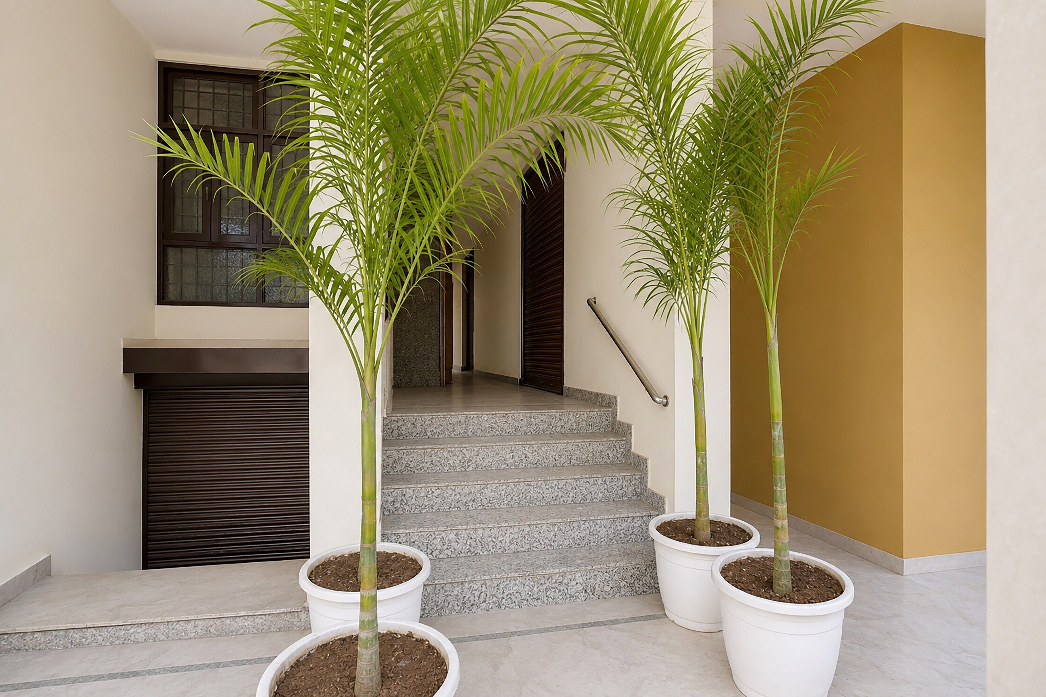 A staircase with potted plants at the base, a dark-colored door, and a beige wall.