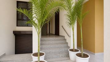 A staircase with potted plants at the base, a dark-colored door, and a beige wall.