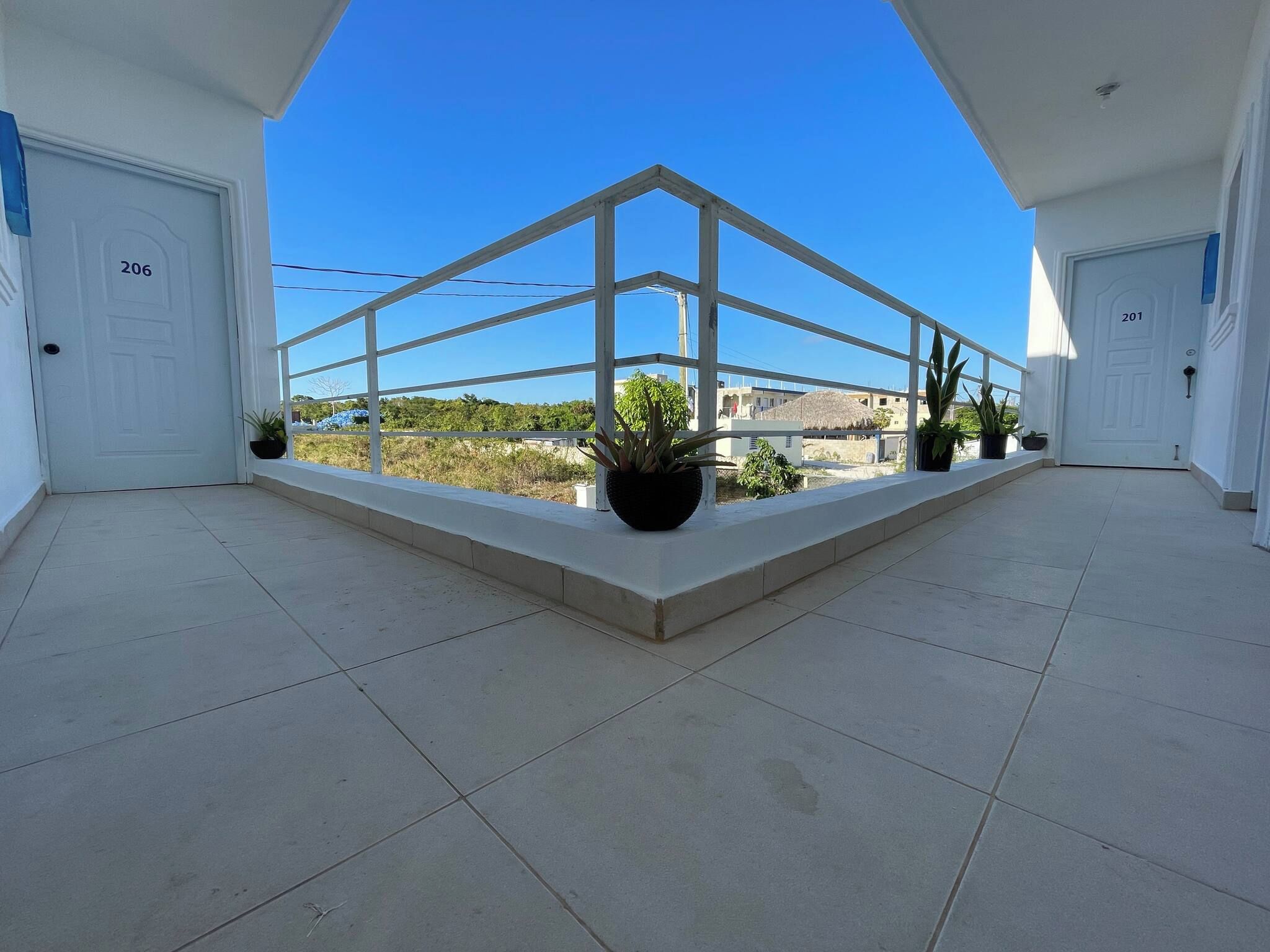 Un passadís ampli amb barana de vidre, plantes en testos i portes numerades 206 i 201.