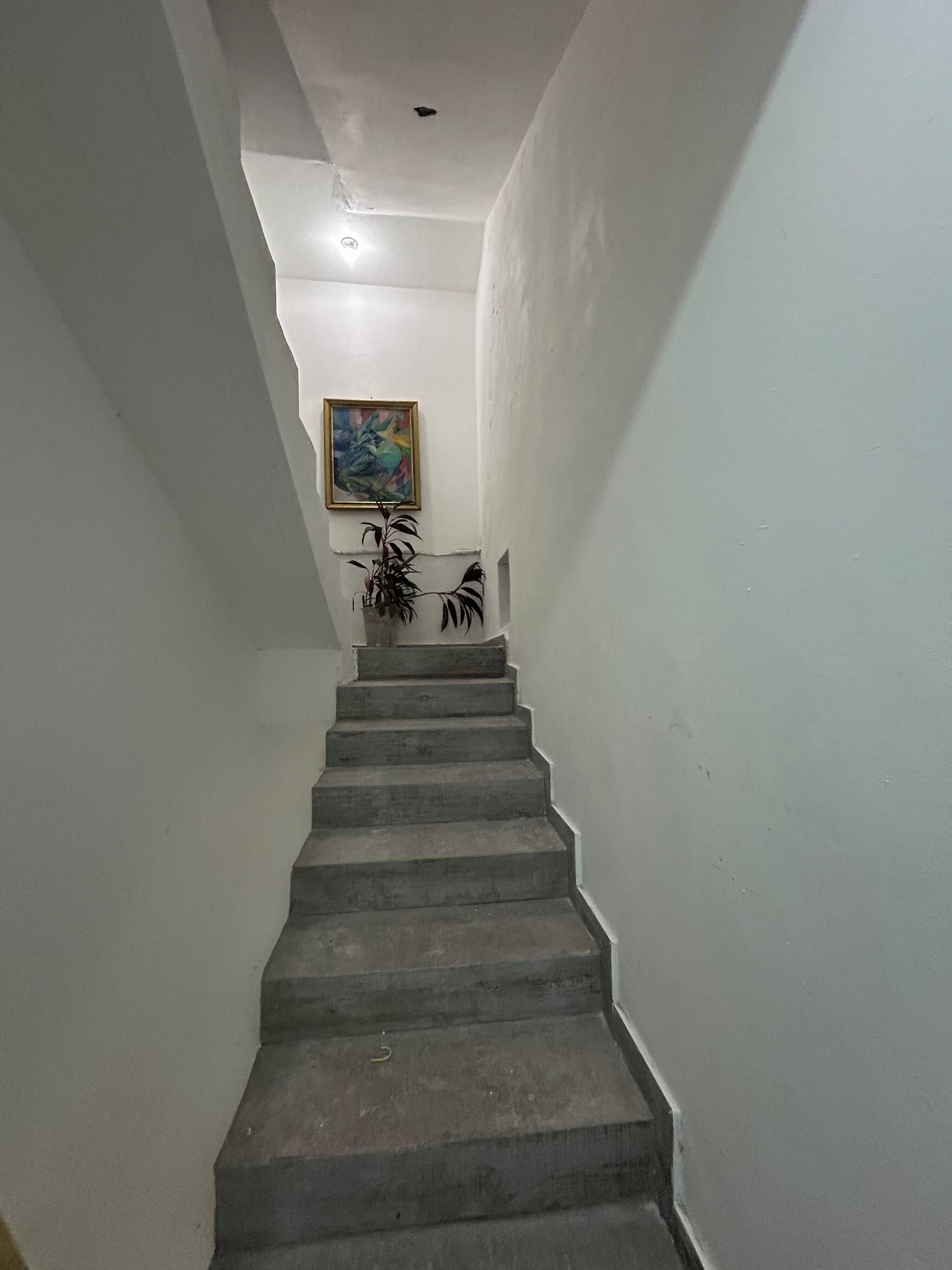 Un escalier orné d’un tableau et d’une plante accrochés au mur.