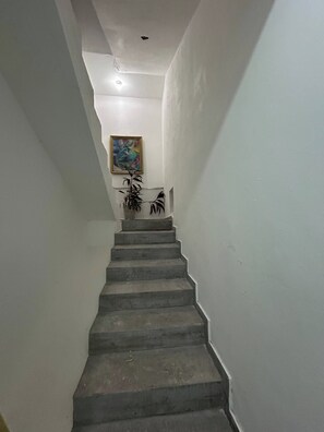 Una escala amb un quadre i una planta a la paret.