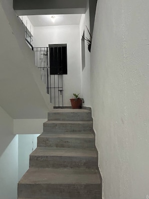 Una escala que condueix a un aterri amb una planta en test.