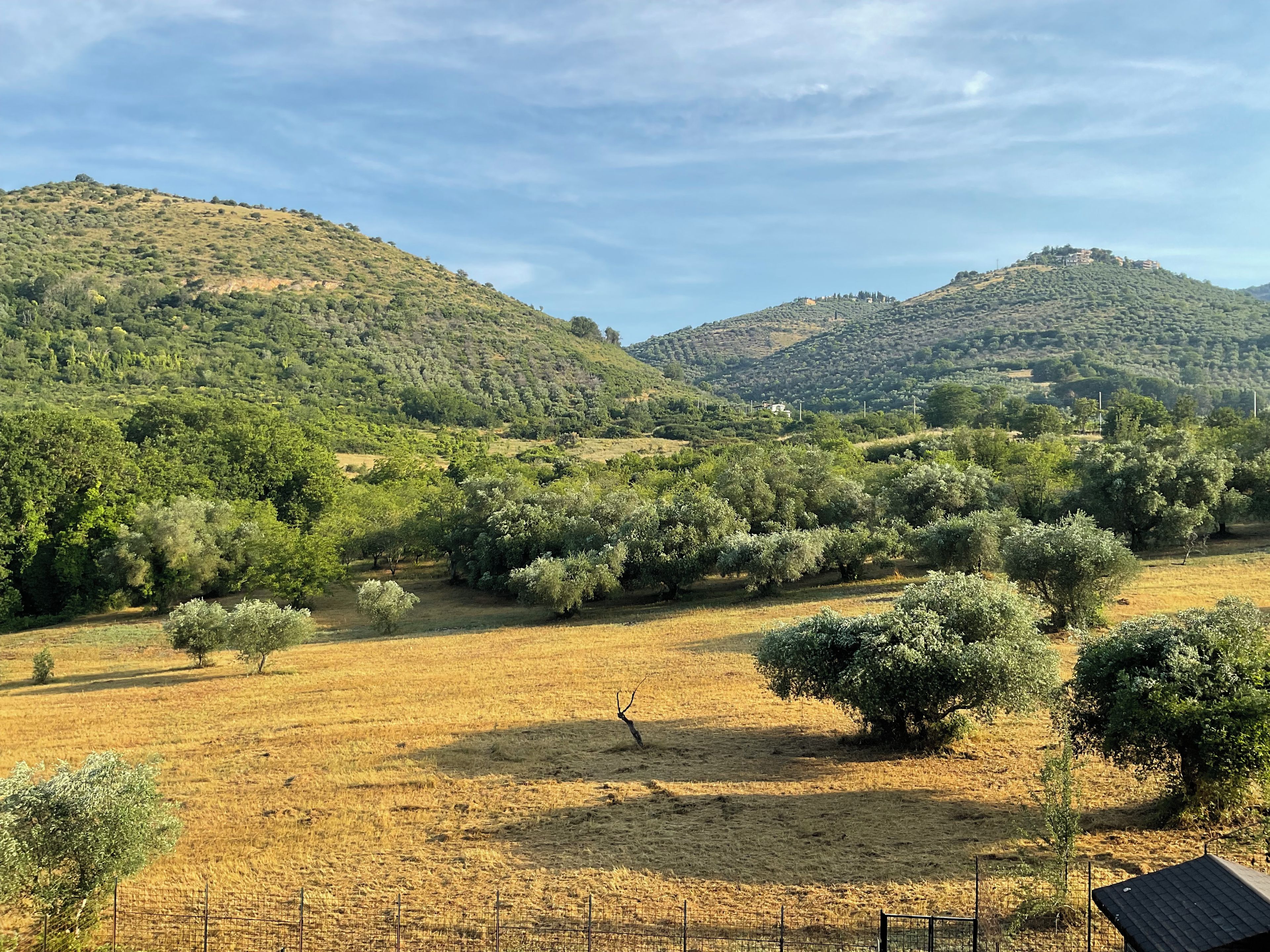 A rural landscape with a fenced field, trees, and hills in the background.
