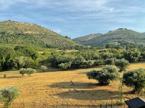 Ländliche Landschaft mit einem eingezäunten Feld, Bäumen und Hügeln im Hintergrund.