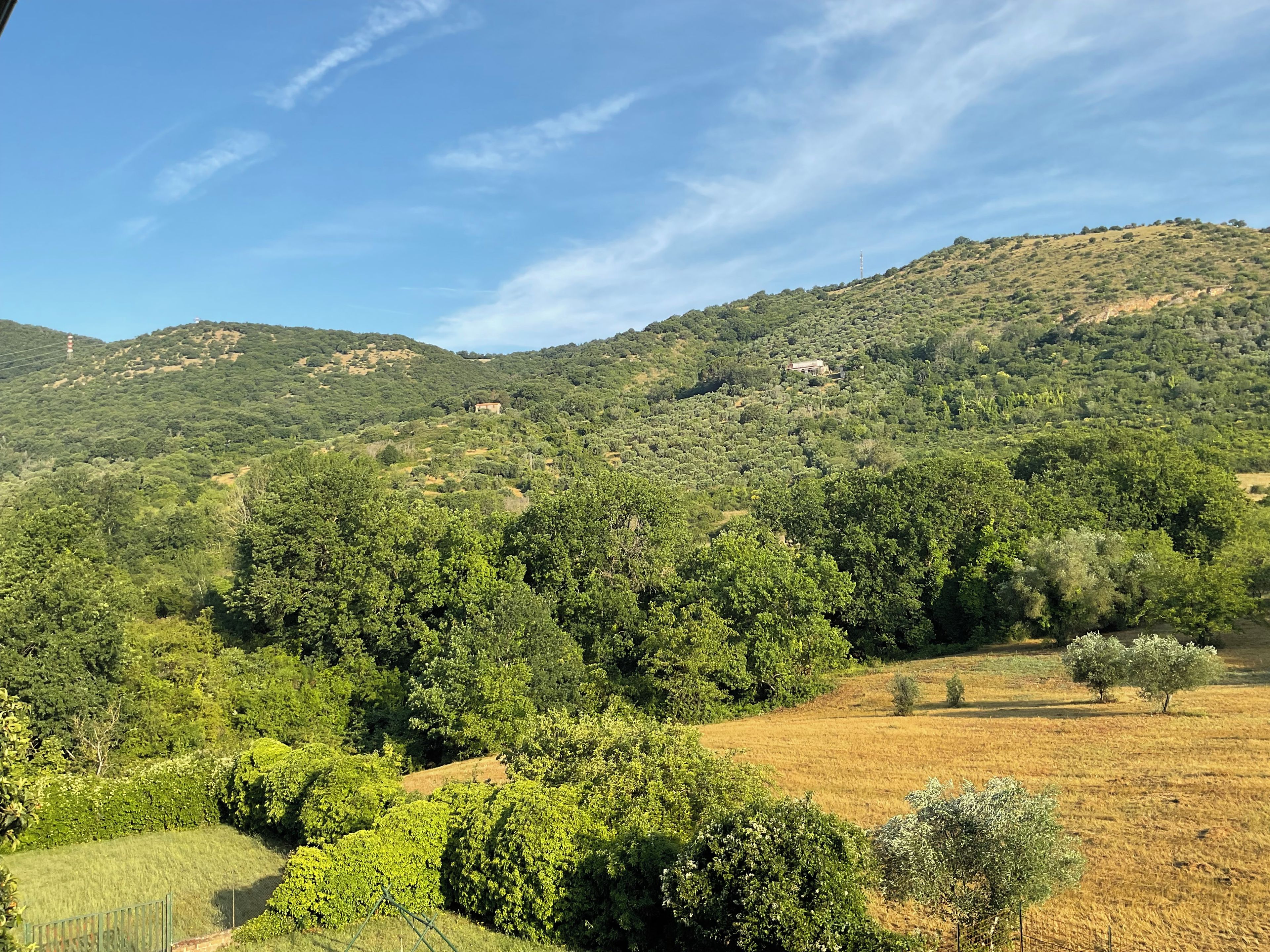 Ländliche Landschaft mit Hügel, Bäumen und einem Feld.