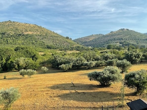 A rural landscape with a fenced field, trees, and hills in the background. - New Listing (S. Polo dei Cavalieri)