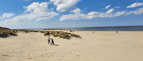 A sandy beach with dunes and a clear sky.