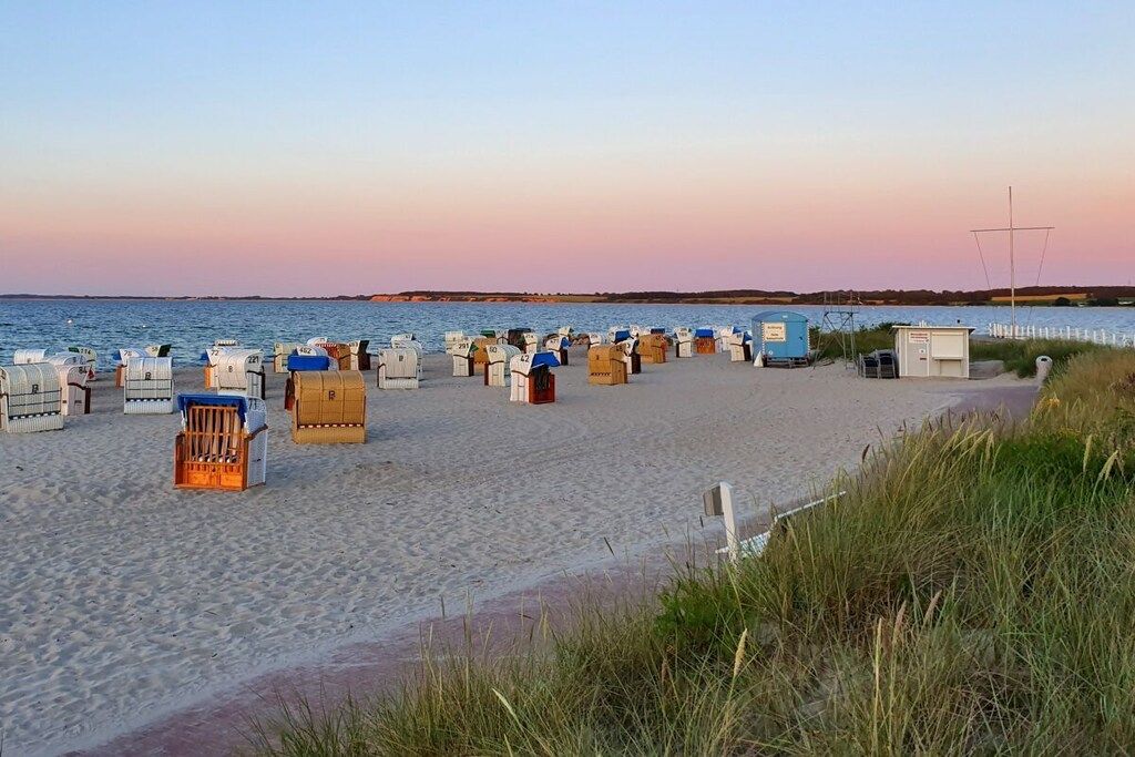 A beach with rows of numbered beach huts.