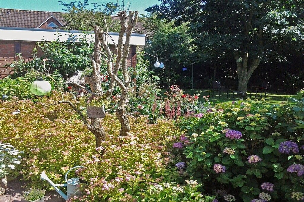 Un jardín con diversas plantas y un árbol.