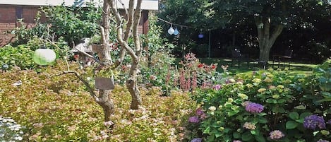 Un jardín con diversas plantas y un árbol.