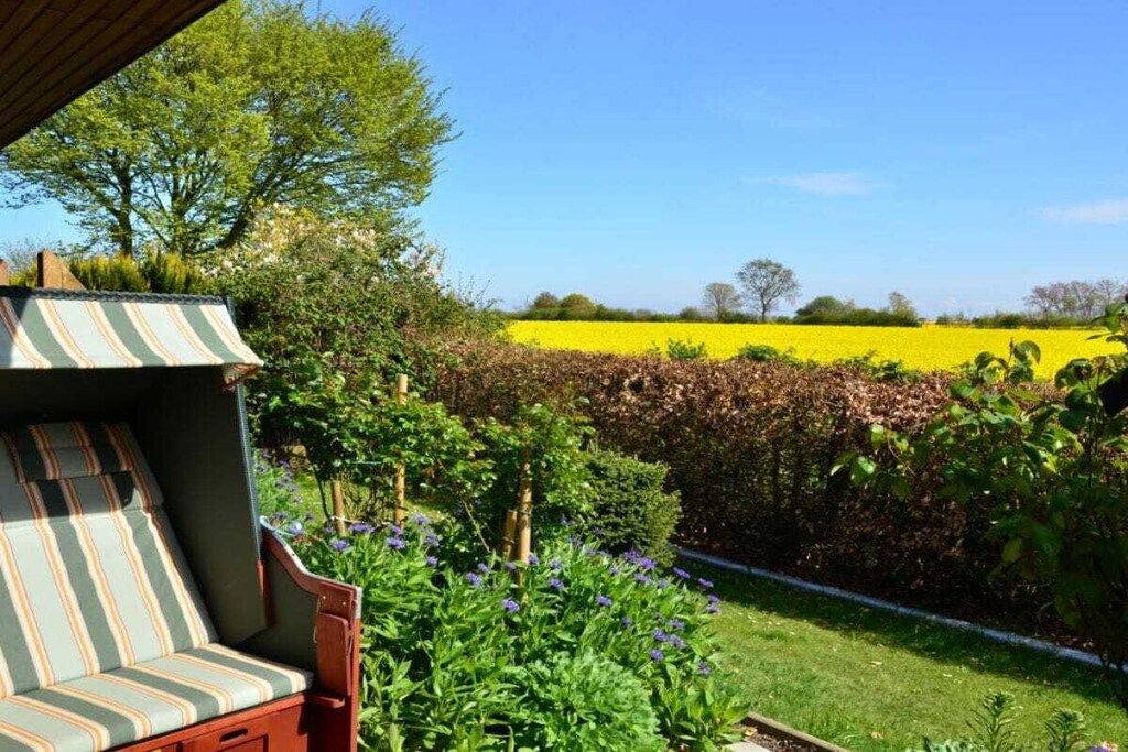 Un jardin avec un banc, un champ jaune en arrière-plan et un ciel dégagé.