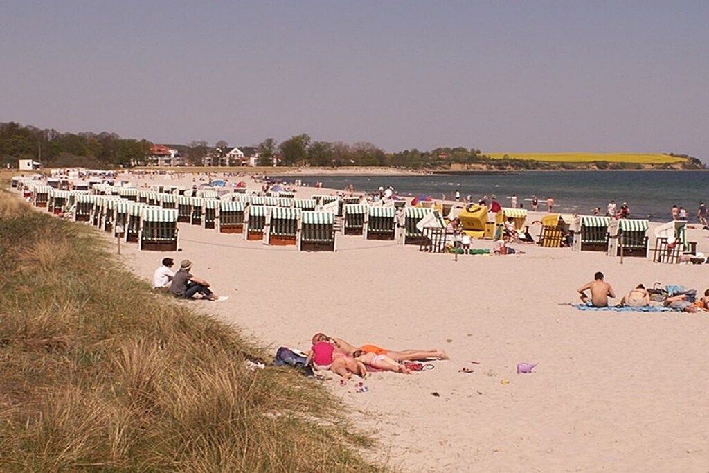 Una playa con filas de sillas y sombrillas, una orilla arenosa y algunas personas relajándose.